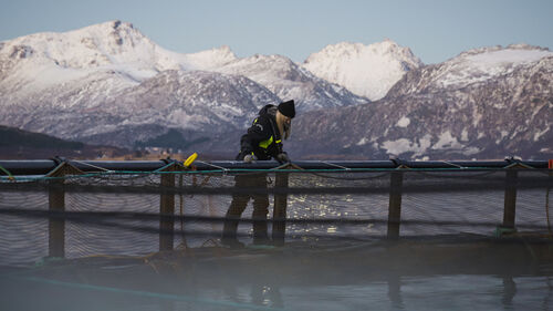 Woman on fish cage