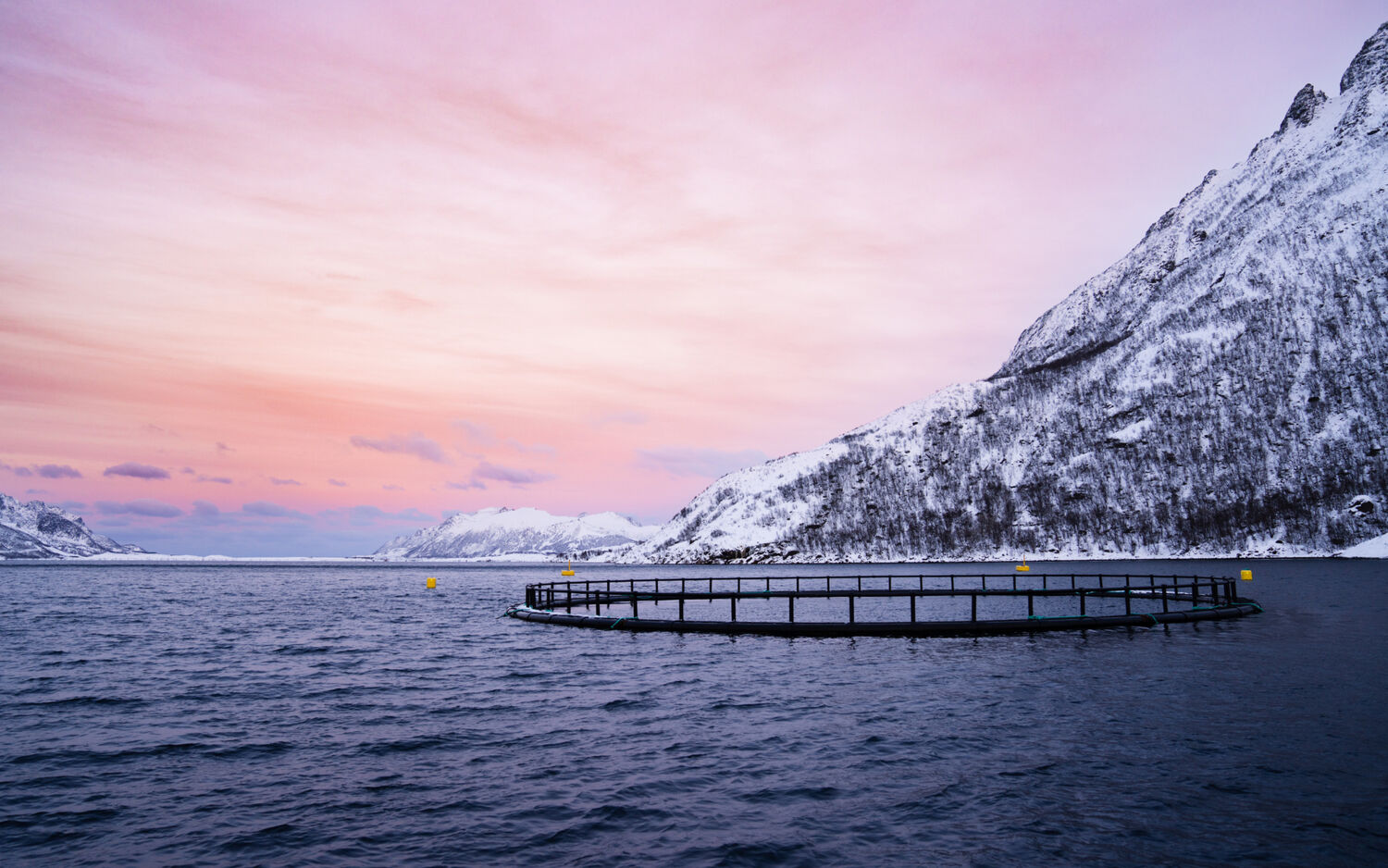 Vesterålen Havbruk