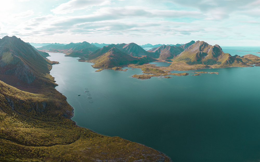 Rapporter – Vesterålen Havbruk