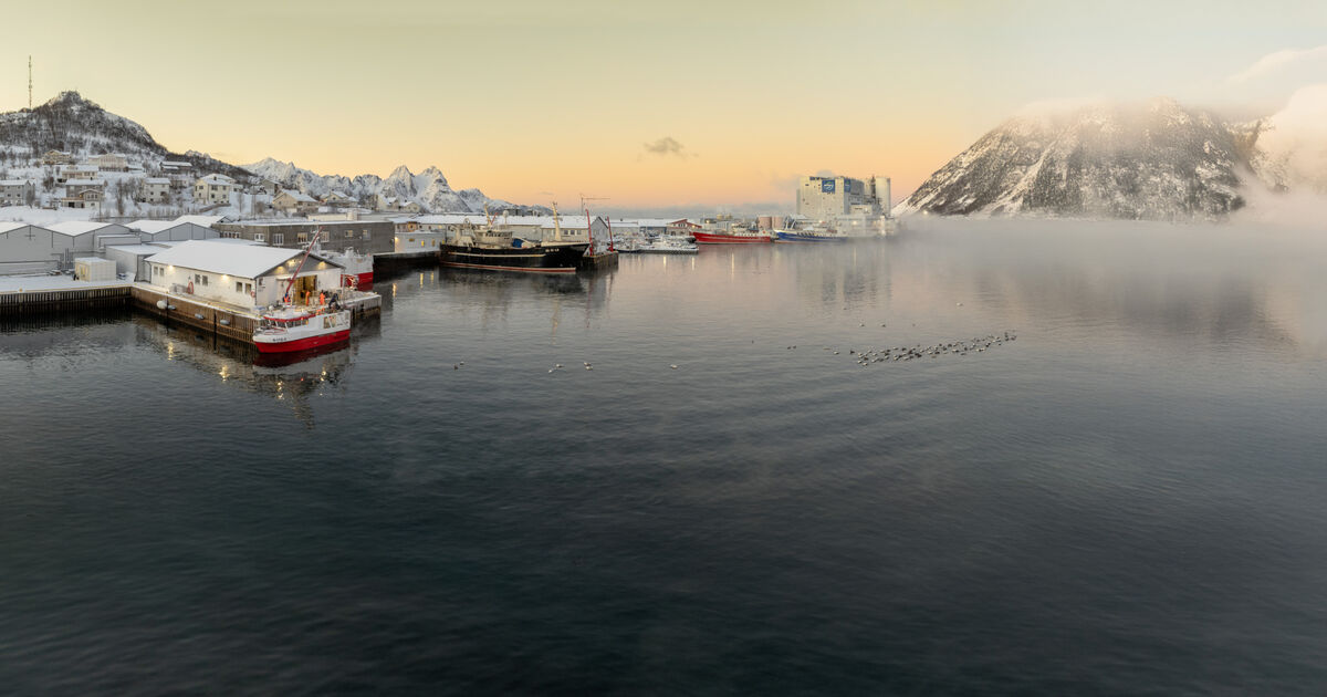 VESTERÅLEN HAVBRUK AS
