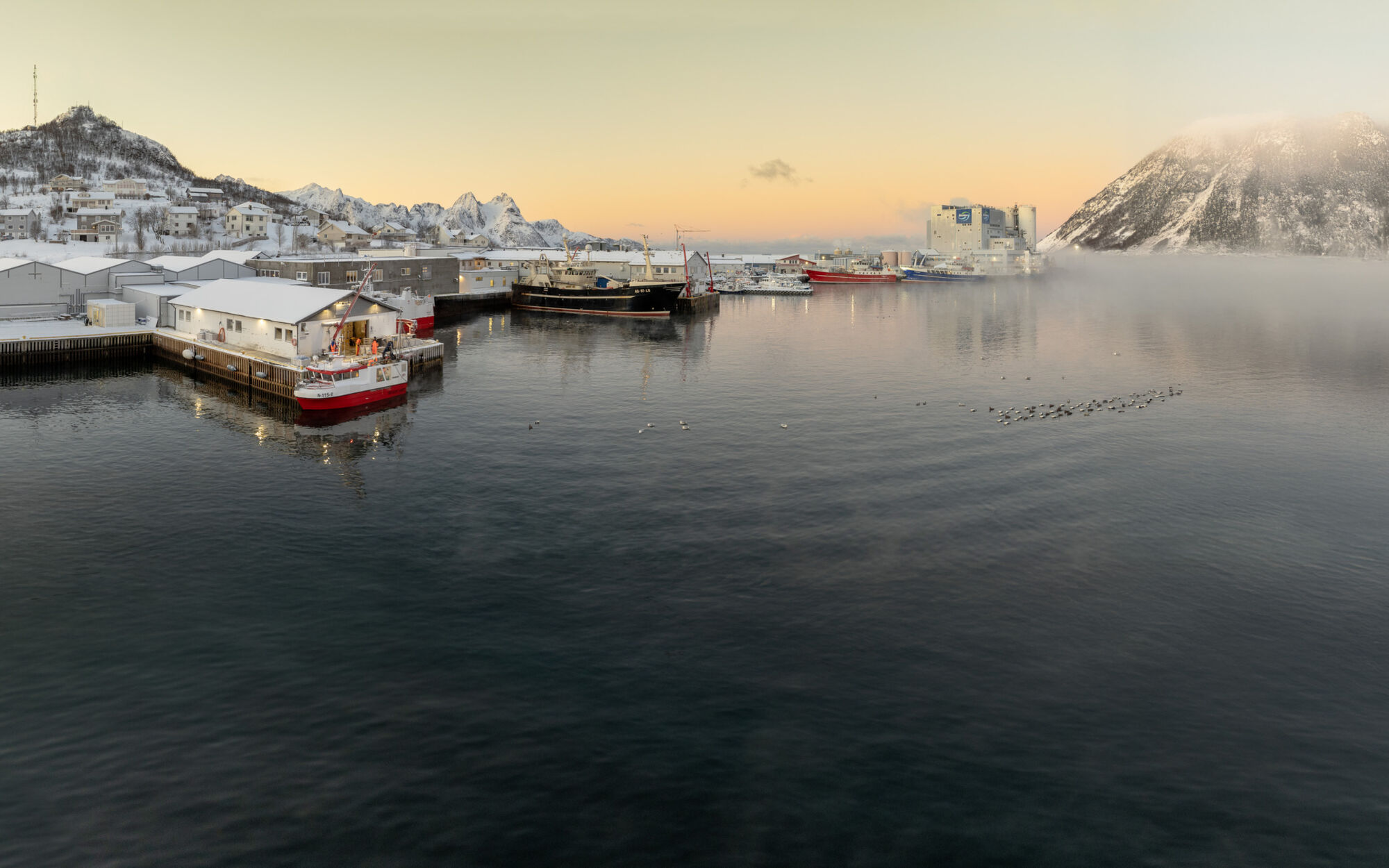Vesterålen Havbruk