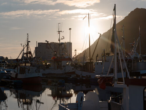 Bilde av Myre havn i solnedgang