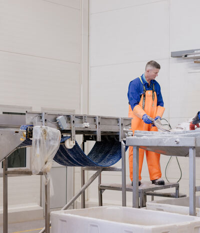 two coworkers handling salt fish