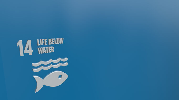 Bilde av FN bærekraftmål nr 14 - livet under vann